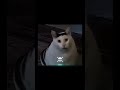 #funny #funnyanimals #funnycats #moments #phonk #viral #shorts #trollface #aura #prime #memes #fyp