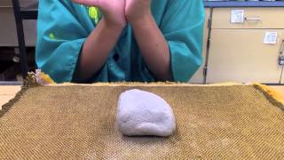 Preparing Your Clay: Wedging and Bagging