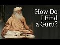 How to Find a Guru? | Sadhguru