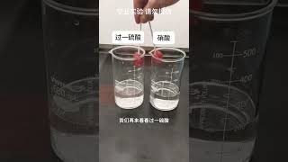 鸡腿放进食人鱼溶液里，连渣都不剩 #科普知识 #食人鱼溶液 #涨知识