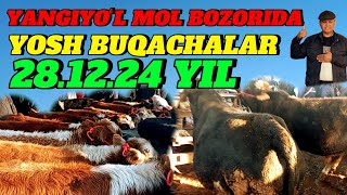 YANGIYOʻL MOL BOZORIDA YOSH BUQACHALAR SOTILADI 🦬🦬🦬🦬