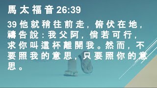 重溫: 基督教樂恩堂主日崇拜2020年3月29日