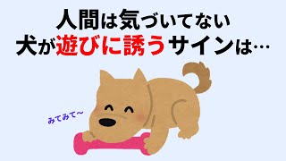 犬の行動に関する雑学 #犬 #雑学 #聞き流し #睡眠 #癒し #犬の行動 #犬のいる暮らし