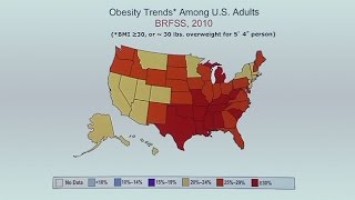 Understanding Obesity