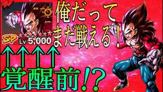 【未覚醒】2年半以上前の未覚醒ベジータ4で暴れまくります‼️【ドラゴンボールレジェンズ】