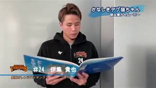 かなしきデブ猫ちゃん 読み聞かせムービー ～その7 愛媛オレンジバイキングス 伊集貴也選手ver～