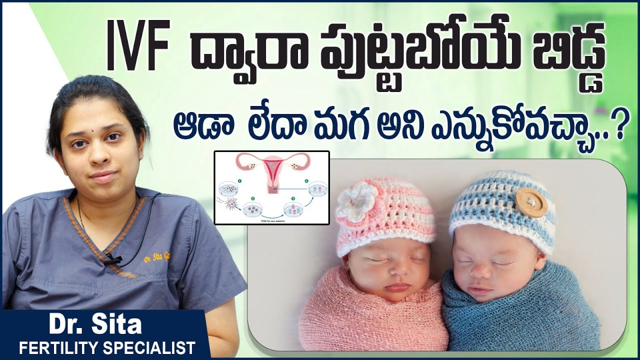 Gender Selection Is Possible In IVF Pregnancy? || IVFలో ఆడ/మొగబిడ్డ ...