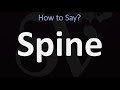 How to Pronounce Spine? (CORRECTLY)