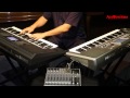 yamaha psr s950 vs korg pa900