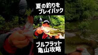 【バス釣り】ブルフラットで亀山湖攻略【釣光TV】