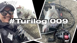 【チニング】#Turilog 009『アルファスAIRTWでアシ撃ちキビレ！』