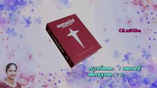 ജോബ് 2 | POC BIBLE പരിഷ്കരിച്ച പതിപ്പ് - മലയാളം ഓഡിയോ ബൈബിൾ | 2024 First Edition