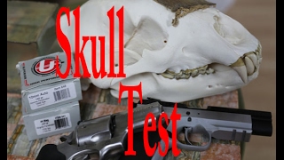 Underwood Extreme Penetrator test on an Actual Grizzly Skull  10mm vs 44 mag