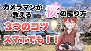 【初心者必見】桜を綺麗に撮る３つのポイント！一眼レフ・スマホユーザーも必見！桜の撮影方法現役カメラマンが教えます！