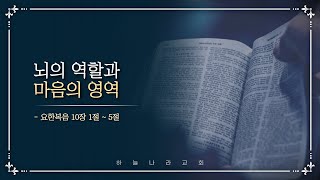 [성령으로 변화 받은 새 사람] 뇌의 역할과 마음의 영역