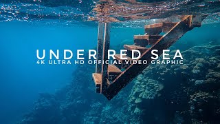 Under Red Sea 4K - Stunning Underwater World - Relaxation Video with Original Sound  - episode 02