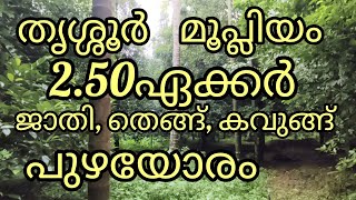 കുറഞ്ഞ വിലയുടെ സ്ഥലം |2.50ഏക്കർ ജാതി തെങ്ങ് കവുങ്ങ് |Low budget land |