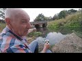 in search of my first river carp river adur mockbridge monday 15th august 2022