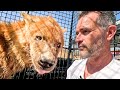 Walking with CRAZY Male Hyenas | The Lion Whisperer