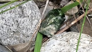 How to search Diopside crystal | Searching for Diopside stone | Green Diopside