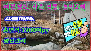 4K[스마일부동산#1014]전원주택매물 충주시 노은면 곧은터 마을 총면적 1900여py의 넓은 토지에 신형 농막시설2채와 저장고작은 연못과 예쁜정원