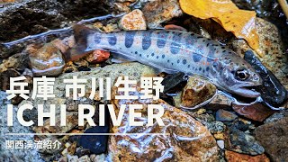 生野 市川 兵庫県【関西渓流紹介】