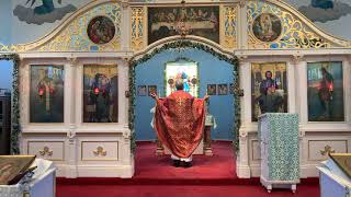 Divine Liturgy (Света Литургија) - Vidovdan (Видовдан)! Jun 28, 2021