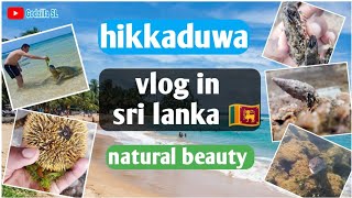 Hikkaduwa Natural Beauty Vlog in Sri Lanka 🇱🇰 - හික්කඩුව