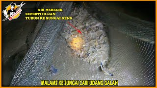 terbaru!! percikan air akibat segerombolan besar udang galah rasa terancam