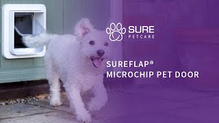 The SureFlap® Microchip Pet Door