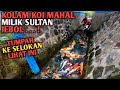 Temukan Gerombolan Ikan Koi Mahal Jebolan Kolam Penangkaran Koi Mahal Sultan