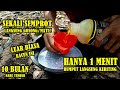 Cara Membunuh Rumput Supaya Tidak Tumbuh Lagi Dalam Hitungan Jam - Part 2! Petani Muda