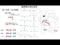 心電図：暗記からの卒業 106話 wpw症候群副側路