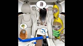 No customers for Taxi & Baby Banana Cat Idea 😺❤️ #catmemes #cat #shorts #fyp #bananacat