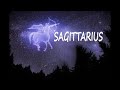 SAGITTARIUS/NEW LOVE! THEY ARE EVERYTHING YOU WANT.BUT SURPRISE! UNEXPECTED TWIST IN THIS LOVE STORY