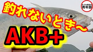 【釣り・海上釣堀】釣れない時のAKB+！たまにはのんびり釣りしましょ＾＾