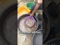 Floating method of harvesting BSF(Black Soldier Fly) larvae(maggot)