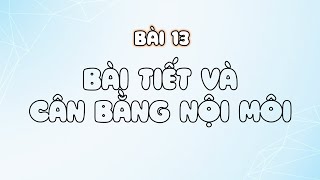 Bài 13 - Bài tiết và cân bằng nội môi - Sinh11 - Chân trời sáng tạo