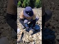 the biggest oyster on the planet shorts clamming seafood oysters food