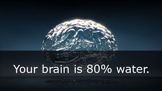 33 Interesting facts about the human brain!