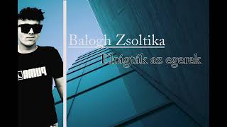 Balogh Zsoltika - Elrágták az egerek (Official Audio)