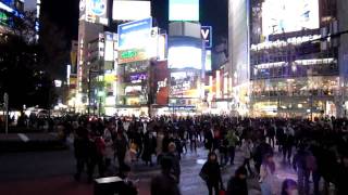 Shibuya crossing, 18/01/2010