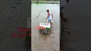 Máy cấy mini 4 hàng Việt Nam #farming #agriculture #top #viralvideo