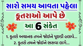 સારો સમય આવતા પહેલા કૂતરાઓ આપે છે આ 6 સંકેત...Vastu tips