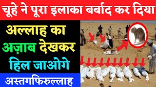 एक चूहे ने क़ौम ए स़बा के साथ क्या किया // Islamic Media