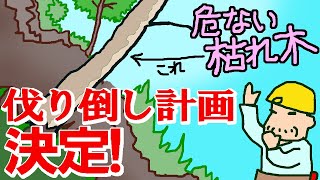 【倒木危険】危ない、大きな枯れ木を伐り倒す 計画決定!　イラスト解説　老後は移住して田舎暮らし