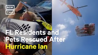 Coast Guard Rescues 2 People & 3 Cats in Florida After Hurricane Ian