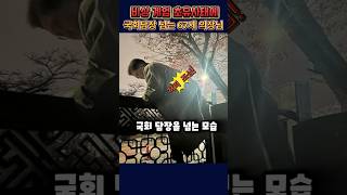 67세 나이에 담 넘는 국회 의장#비상계엄#이재명#이준석#우원식