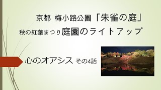 心のオアシス　京都庭園散策　梅小路公演「朱雀の庭」　紅葉まつり夜間ライトアップ