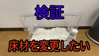 ゴールデンハムスター飼育記19 床材を変更したいので検証した